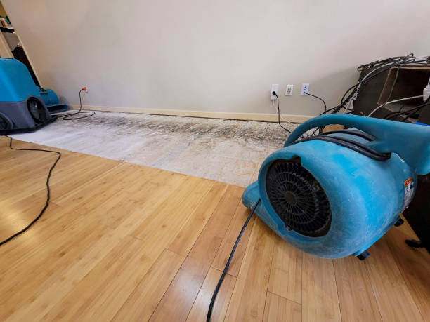 Professional Water Damage Repair technician working in Wesley, ME